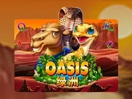 Oasis